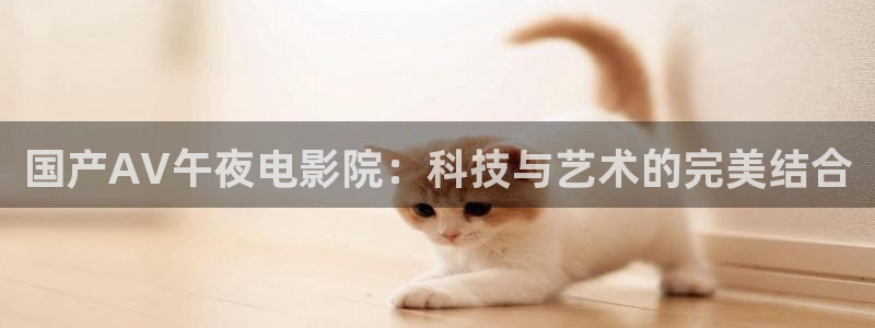 星空视频在线观看