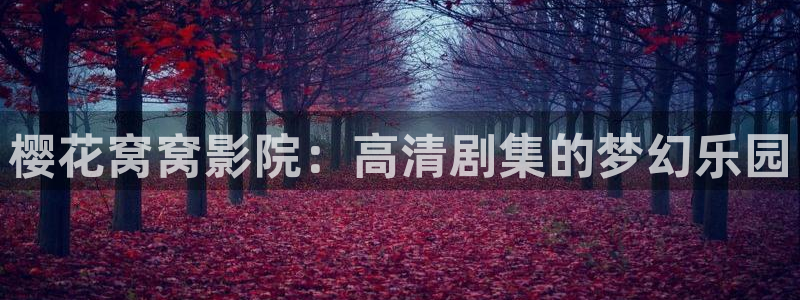 星空电影网官网