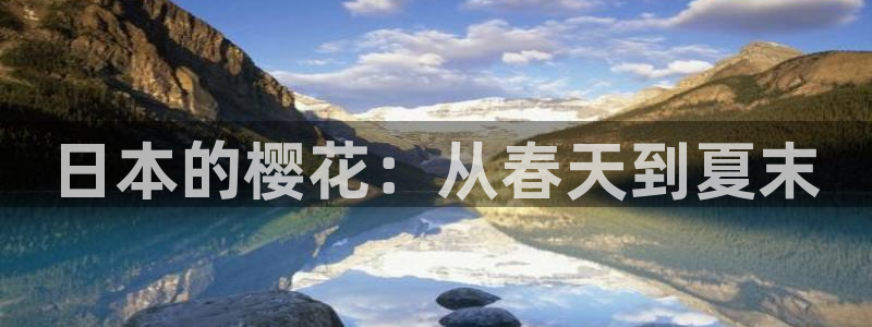 星空影视热播电视剧电影大全