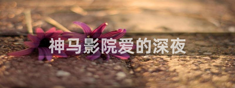 神马影院私人影院