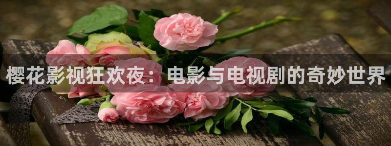 神马影院电影在线观看