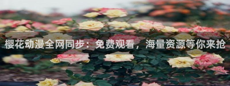 浩瀚星空电影免费观看