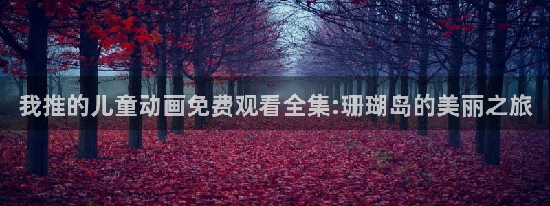 星空无痕免费视频观看