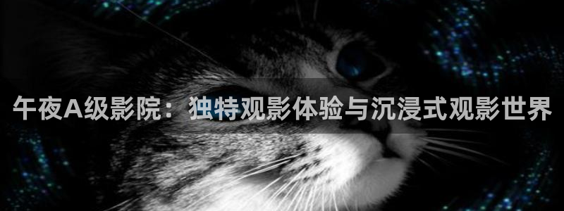 星空视频免费观看电影大全
