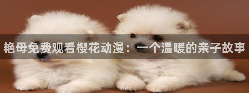 神马影院在线看电视剧