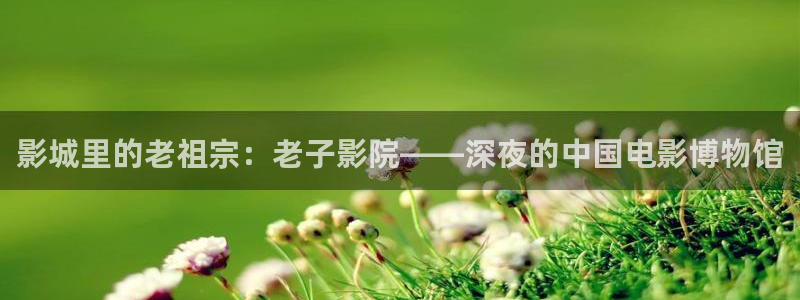 在线观看星空传媒