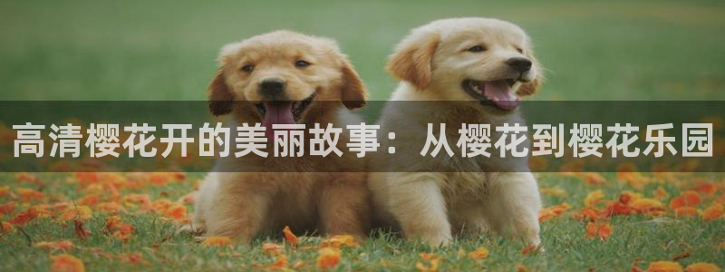 星空影视频道