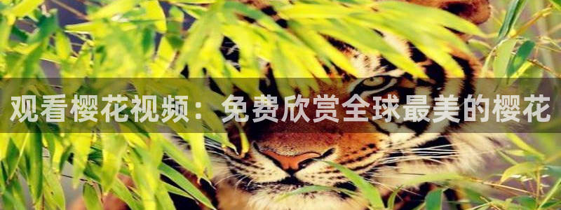 关于星空