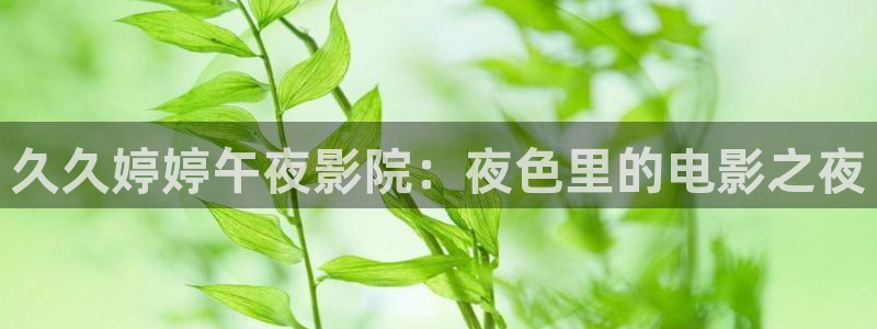 神马影院 伦理