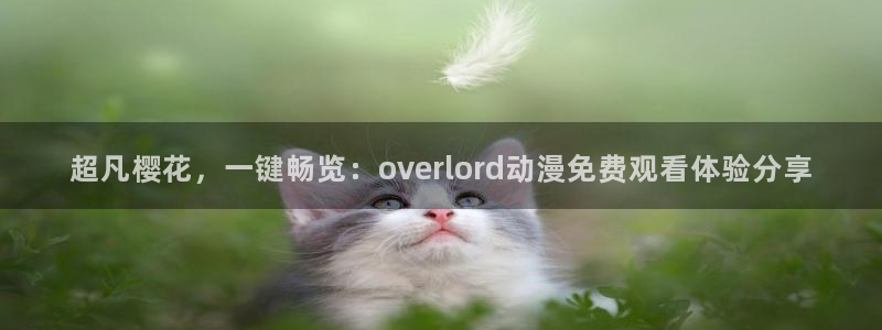神马影院追剧就上神马影院