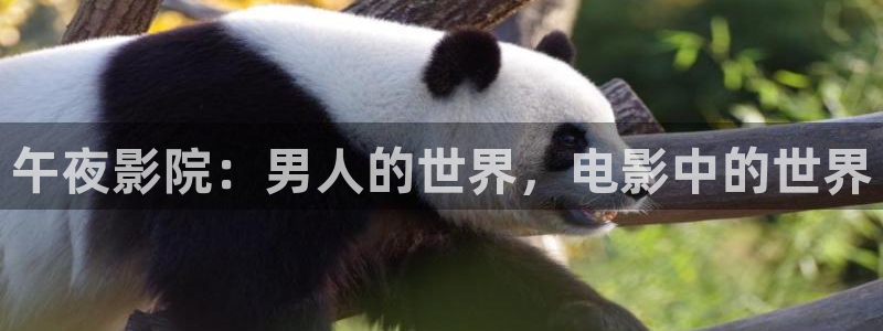 朋友的妈妈神马影院