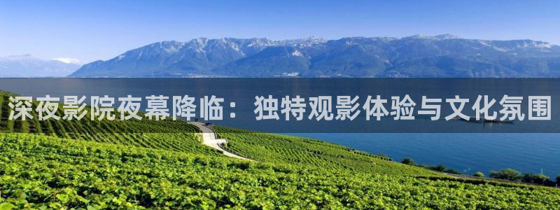 星空无限传媒高清电视剧在线观看