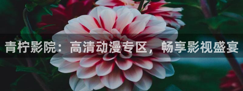 神马影院电影免费播放