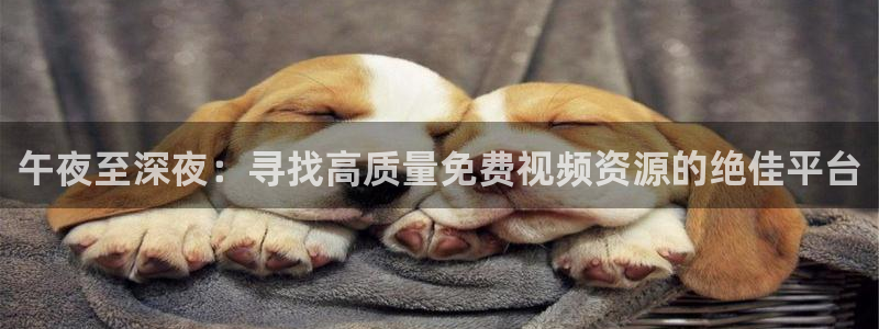 神马影院动漫免费观看
