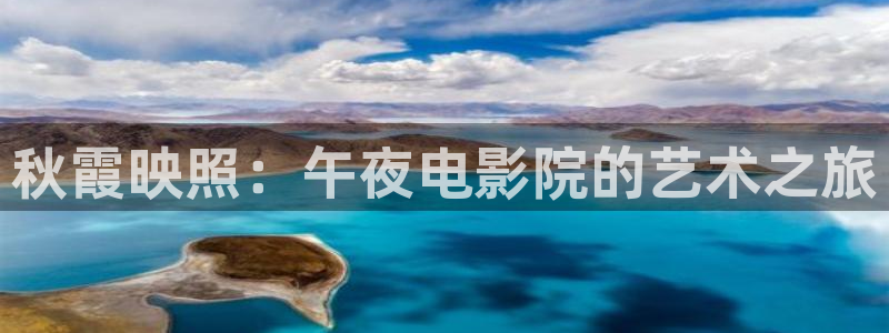 梵高的星空的电影