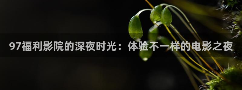 神马影院免费观看电视剧电影