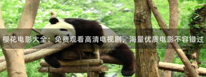 在线观看影院星空