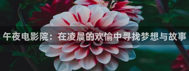 星空影视会员