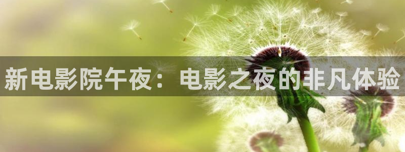 星空影视无限传媒