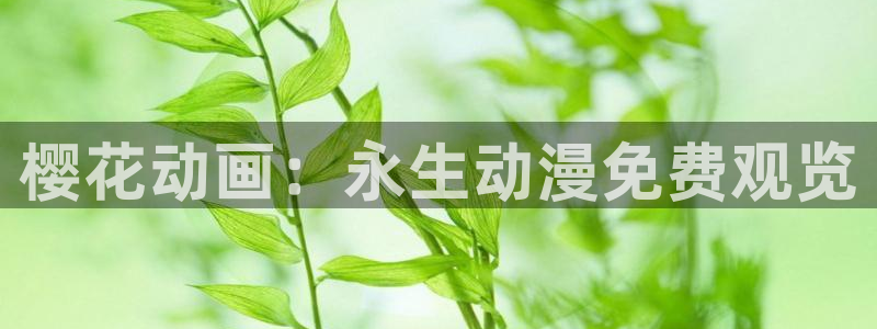 神马影院免费播放的电视剧