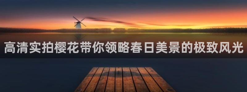神马影院电视在线观看免费