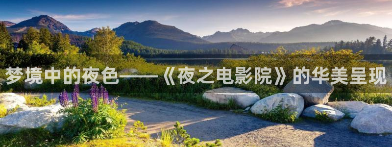 星空mv高清在线播放