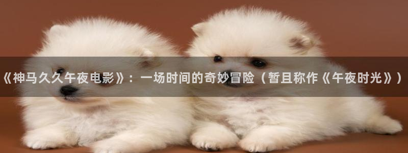 星空视频电影在线视频观看