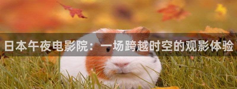 丹寨县星空影城