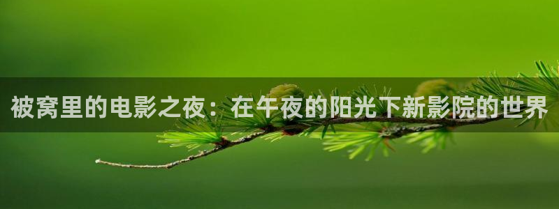 星空影视下载官网