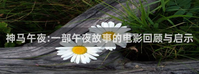 星空视频电影在线观看