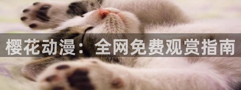 星空影视壁纸