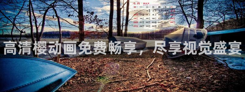 星空视频电影在线看免费