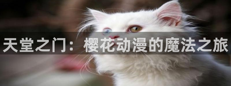 神马影院免费观看完整版高清