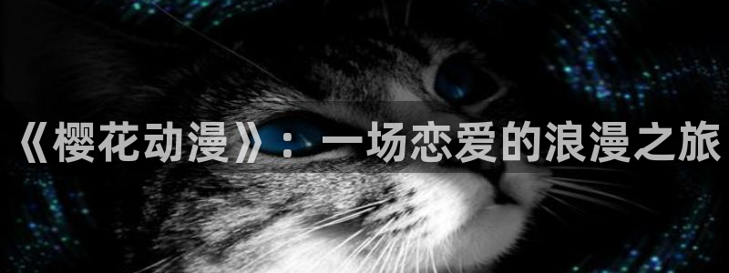 星空无痕mv免费观看高清