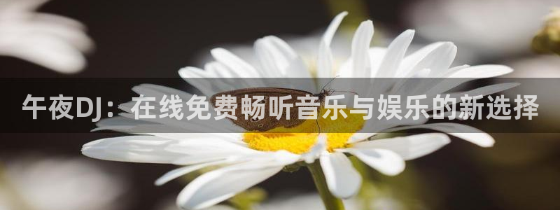 神马影院在线观看免费节目
