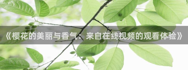 神马影院电视剧免费观看在线观看