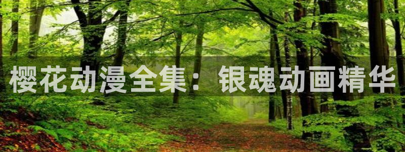 神马影院在线观看高清
