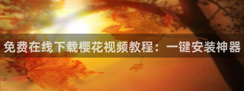 关于星空的画