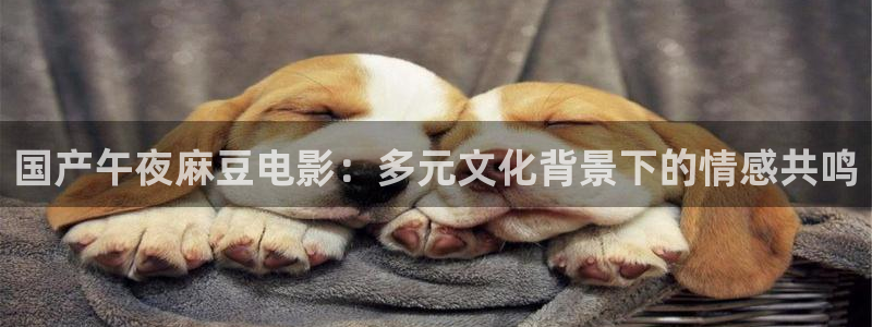 星空无痕mv高清在线观看免费播放