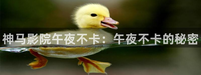 星空mv视频免费观看